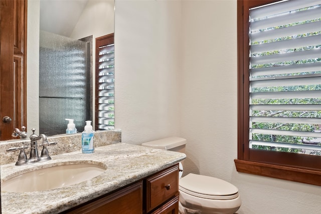 bathroom with a healthy amount of sunlight, toilet, and vanity