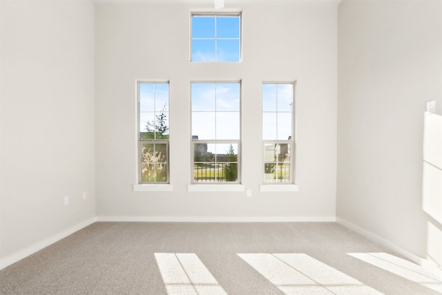 carpeted spare room featuring a high ceiling