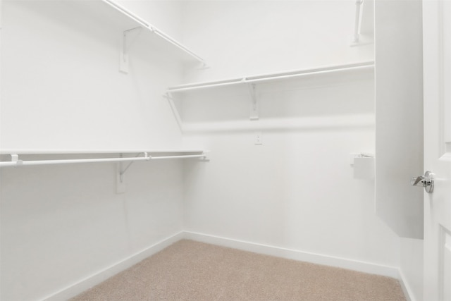 spacious closet featuring carpet floors