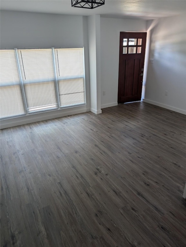 foyer with dark wood-type flooring