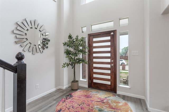 entrance foyer featuring hardwood / wood-style flooring