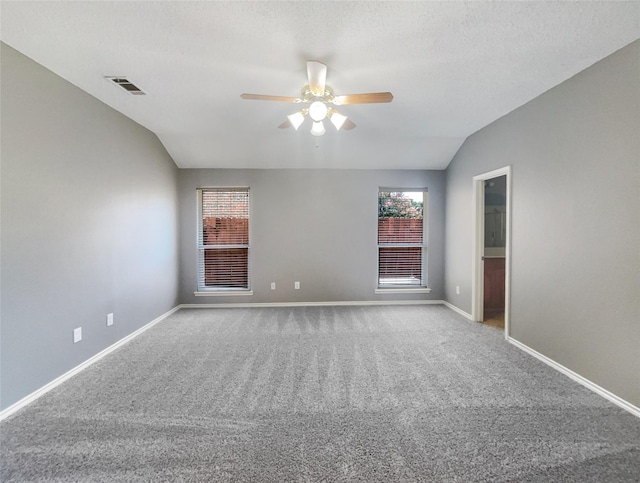 spare room with carpet flooring, a wealth of natural light, a textured ceiling, and lofted ceiling