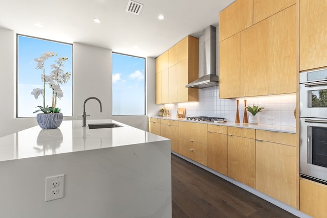 kitchen with tasteful backsplash, dark wood-type flooring, stainless steel appliances, wall chimney exhaust hood, and sink