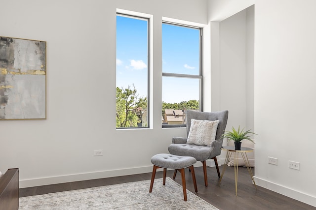 sitting room featuring dark wood-type flooring