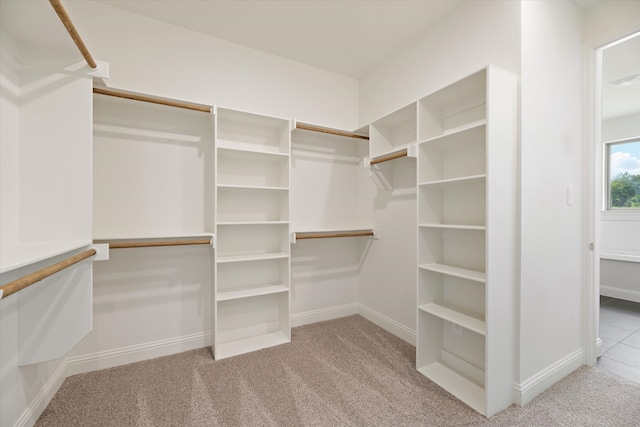 walk in closet featuring light carpet