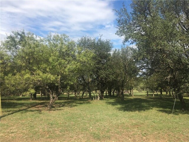 Listing photo 2 for LOT1074 Oak Point Dr, May TX 76857