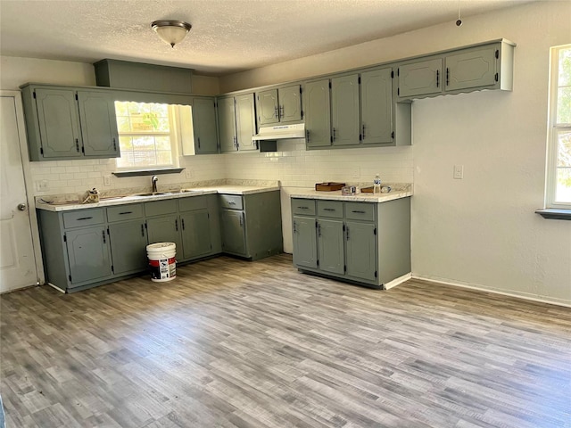 kitchen with sink, light wood-type flooring, and green cabinets