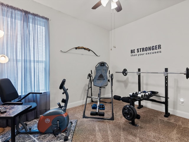 exercise area featuring ceiling fan and carpet floors