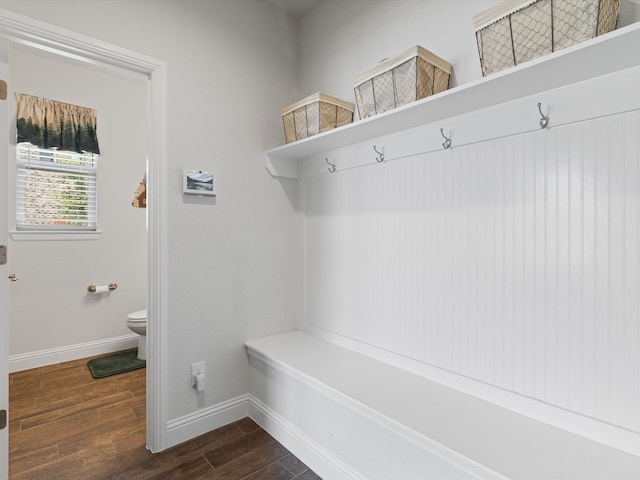 mudroom featuring dark hardwood / wood-style flooring