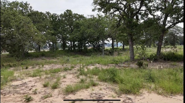 TBD Cr 2030, Glen Rose TX, 76043 land for sale