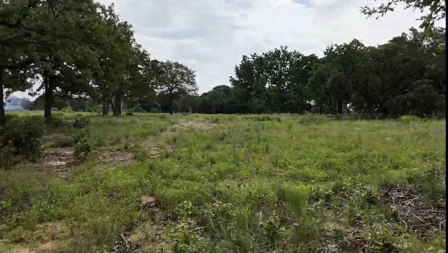 Listing photo 2 for TBD Cr 2030, Glen Rose TX 76043