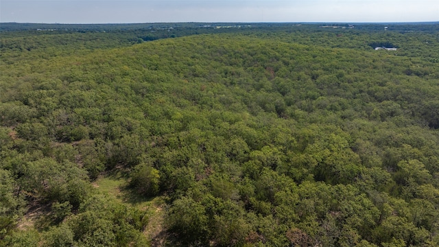 Listing photo 2 for TBD Cheaney Road, Valley View TX 76272