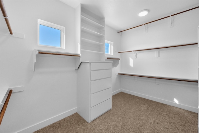 walk in closet featuring light carpet