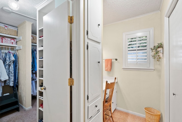 spacious closet with light colored carpet