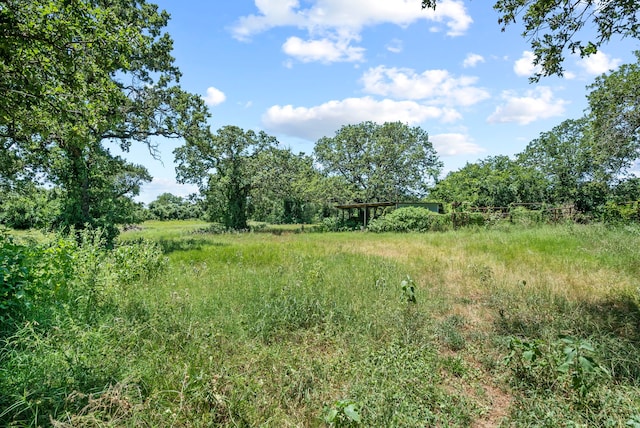 view of nature featuring a rural view