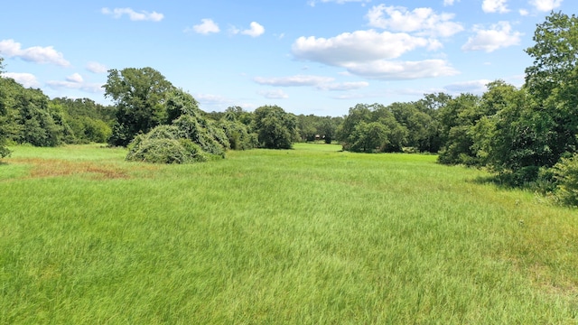 view of landscape featuring a rural view