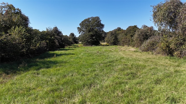 view of landscape with a rural view