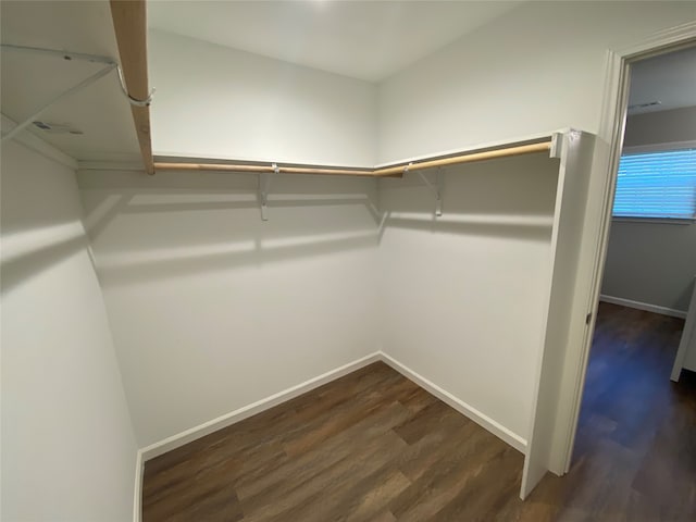 spacious closet featuring dark hardwood / wood-style flooring