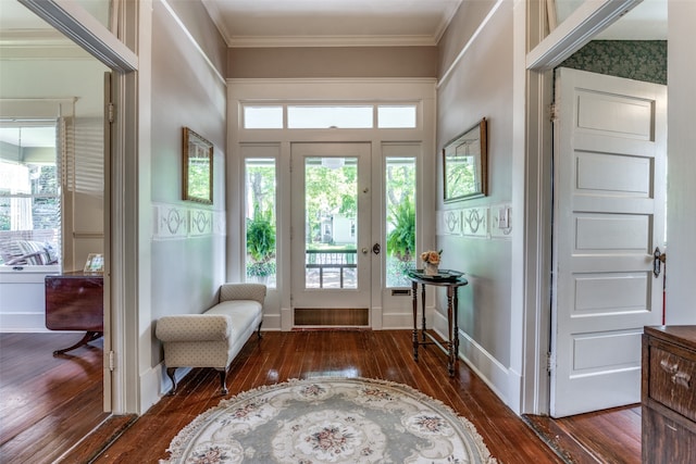 entrance foyer featuring dark hardwood / wood-style floors and ornamental molding