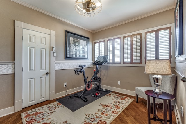 workout room with crown molding and dark hardwood / wood-style flooring