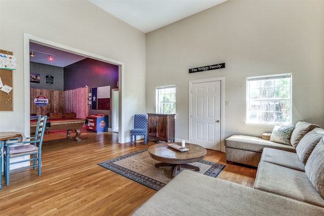 living room with a high ceiling and wood-type flooring