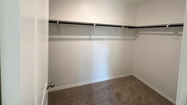 walk in closet with carpet