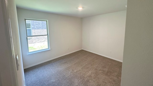 empty room featuring a wealth of natural light and carpet floors