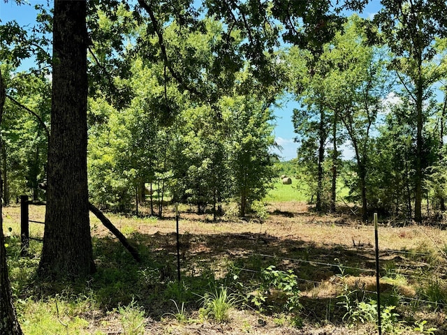 TBD County Road 4230, Mount Pleasant TX, 75455 land for sale