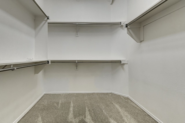 spacious closet with carpet