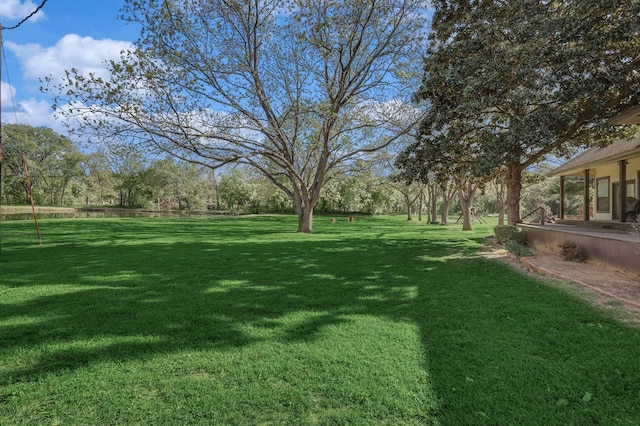 view of yard