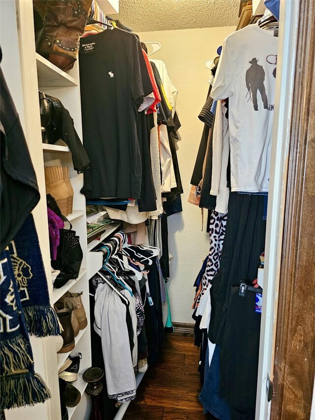 walk in closet featuring dark hardwood / wood-style floors