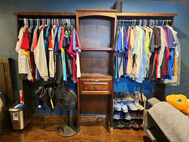 spacious closet featuring dark wood-type flooring