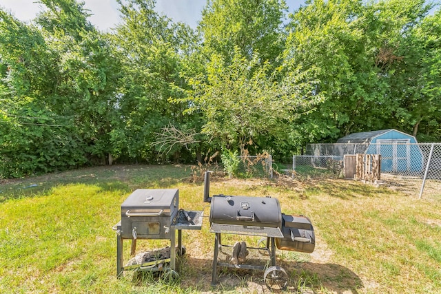 view of yard with a shed