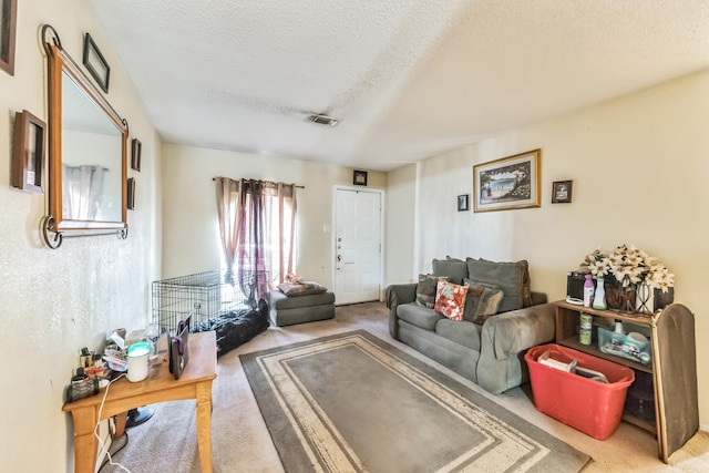 carpeted living room with a textured ceiling