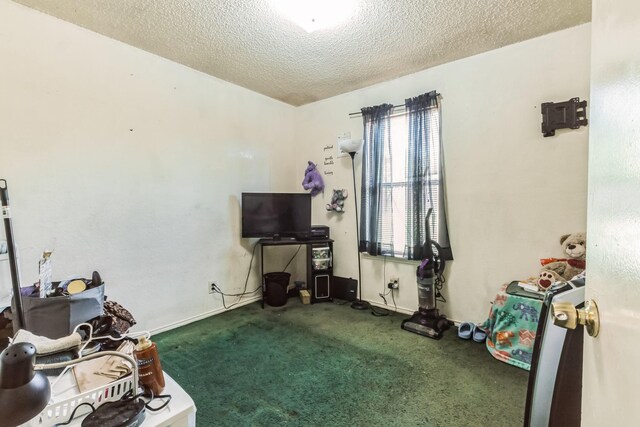 miscellaneous room with carpet flooring and a textured ceiling