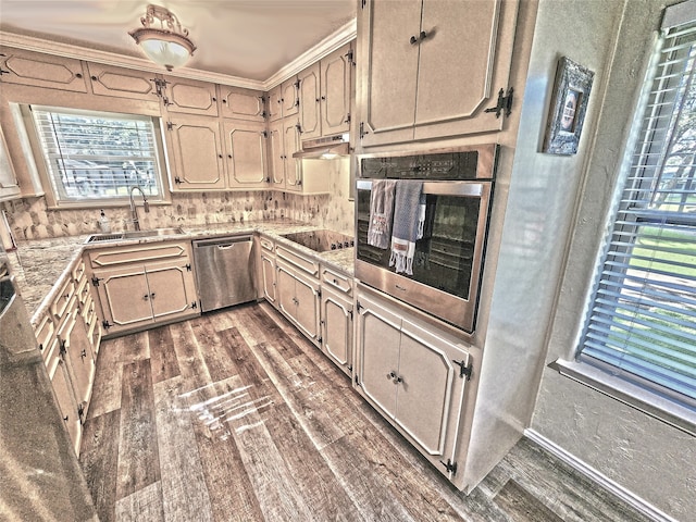 kitchen with sink, appliances with stainless steel finishes, dark wood-type flooring, and a wealth of natural light