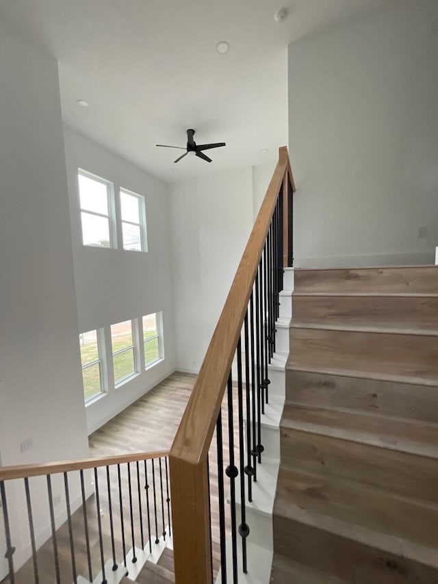 staircase featuring wood-type flooring and ceiling fan