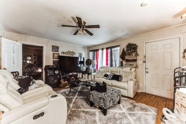 living room with hardwood / wood-style floors, ceiling fan, and crown molding