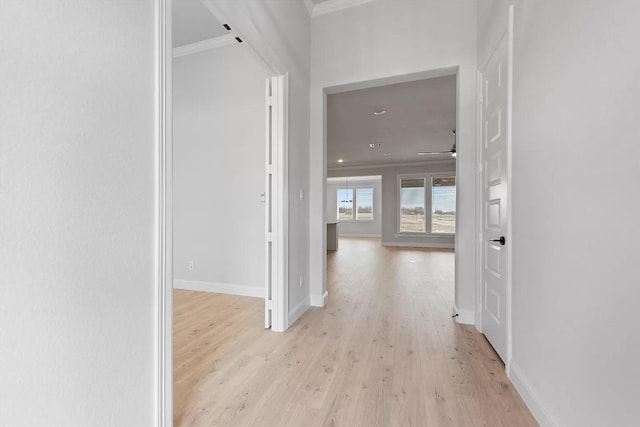 hall featuring crown molding and light hardwood / wood-style flooring