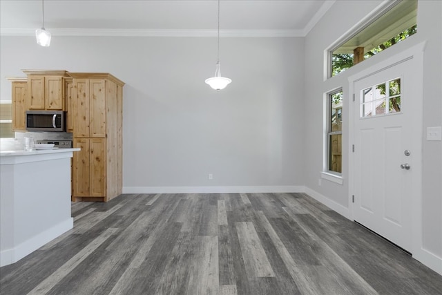 entryway featuring dark hardwood / wood-style floors and ornamental molding