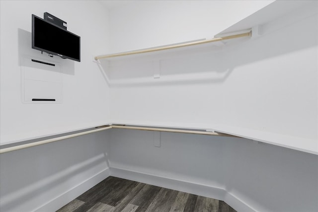 spacious closet featuring dark hardwood / wood-style flooring