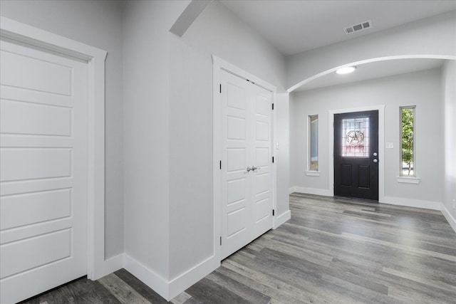 entrance foyer featuring wood-type flooring