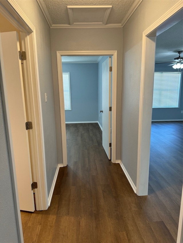 corridor featuring ornamental molding, a textured ceiling, and dark hardwood / wood-style floors