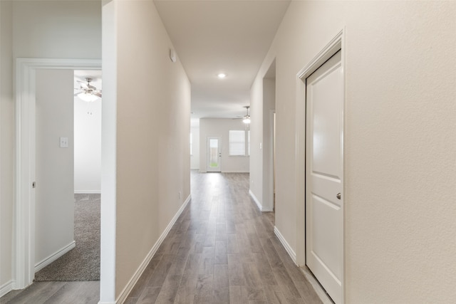 hallway with carpet floors