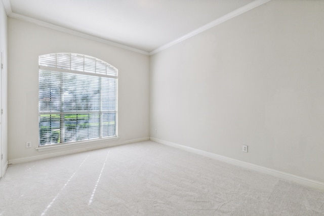 carpeted empty room with ornamental molding