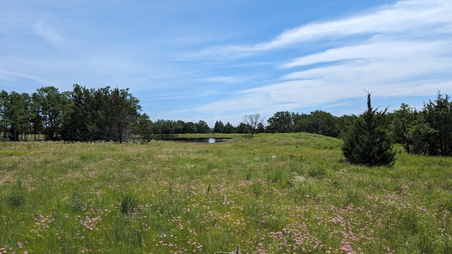 TBD Lama Rd, Bowie TX, 76230 land for sale