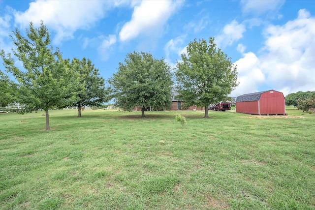 view of yard with a shed