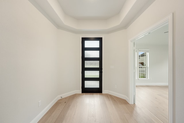 foyer entrance with a raised ceiling and light hardwood / wood-style flooring