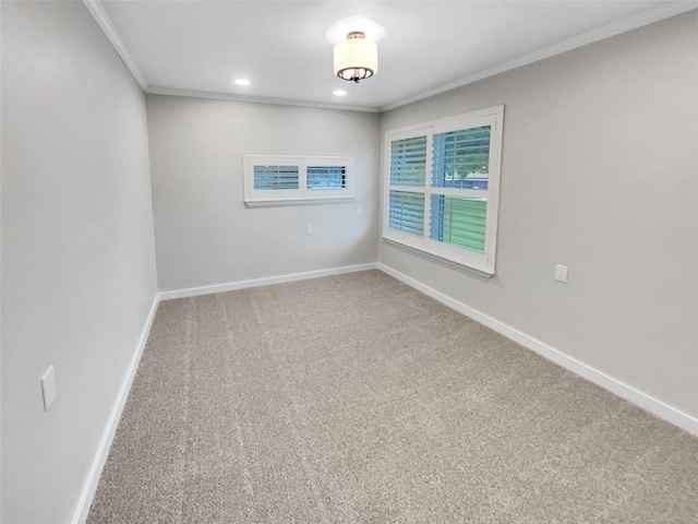 spare room featuring carpet floors and crown molding