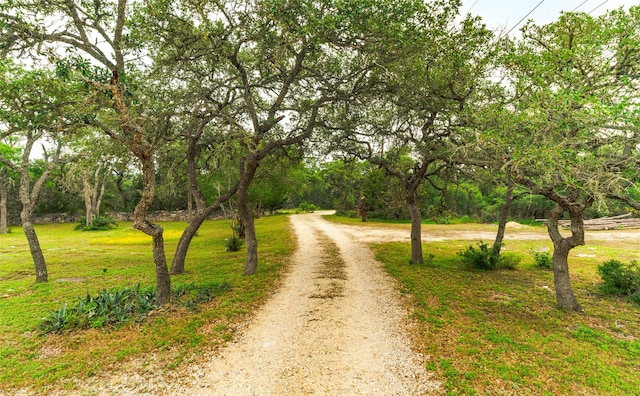 Listing photo 2 for 1218 Oakwood Loop, San Marcos TX 78666